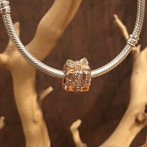 PANDORA Rose | 🎁 “Sparkling Surprise” Charm